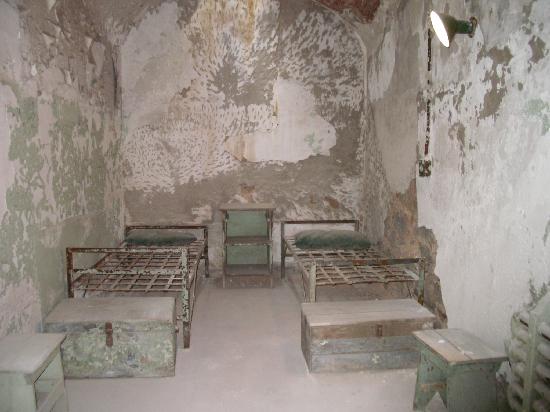 a-standard-cell